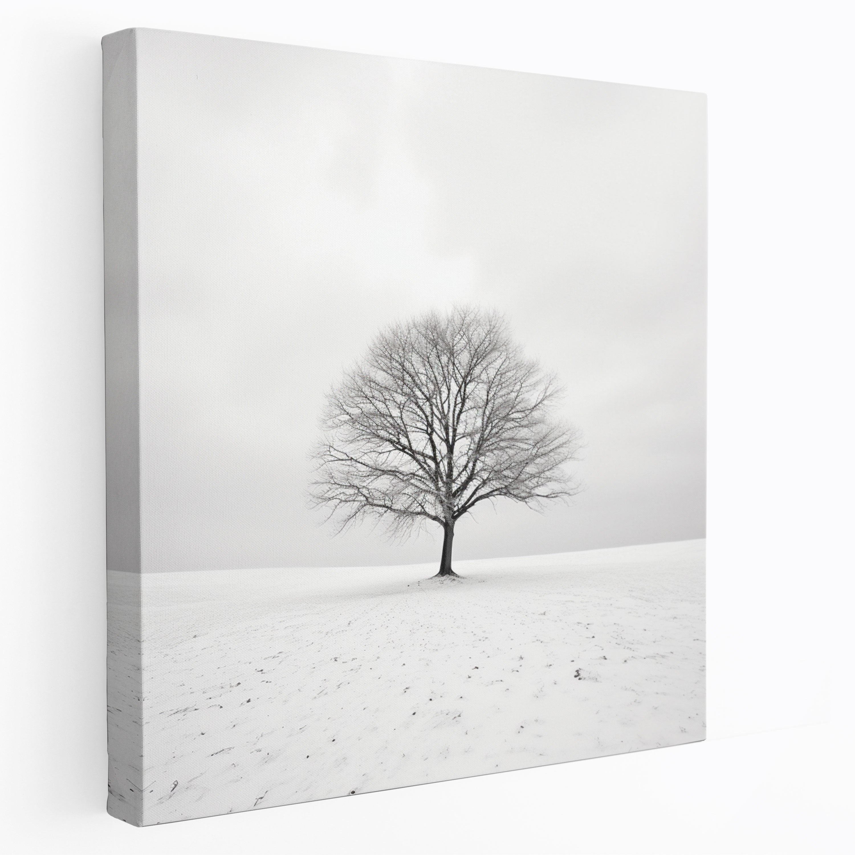 Winter Elegance Canvas Print - Winter, Minimalist Photograph, Winter, Canvas