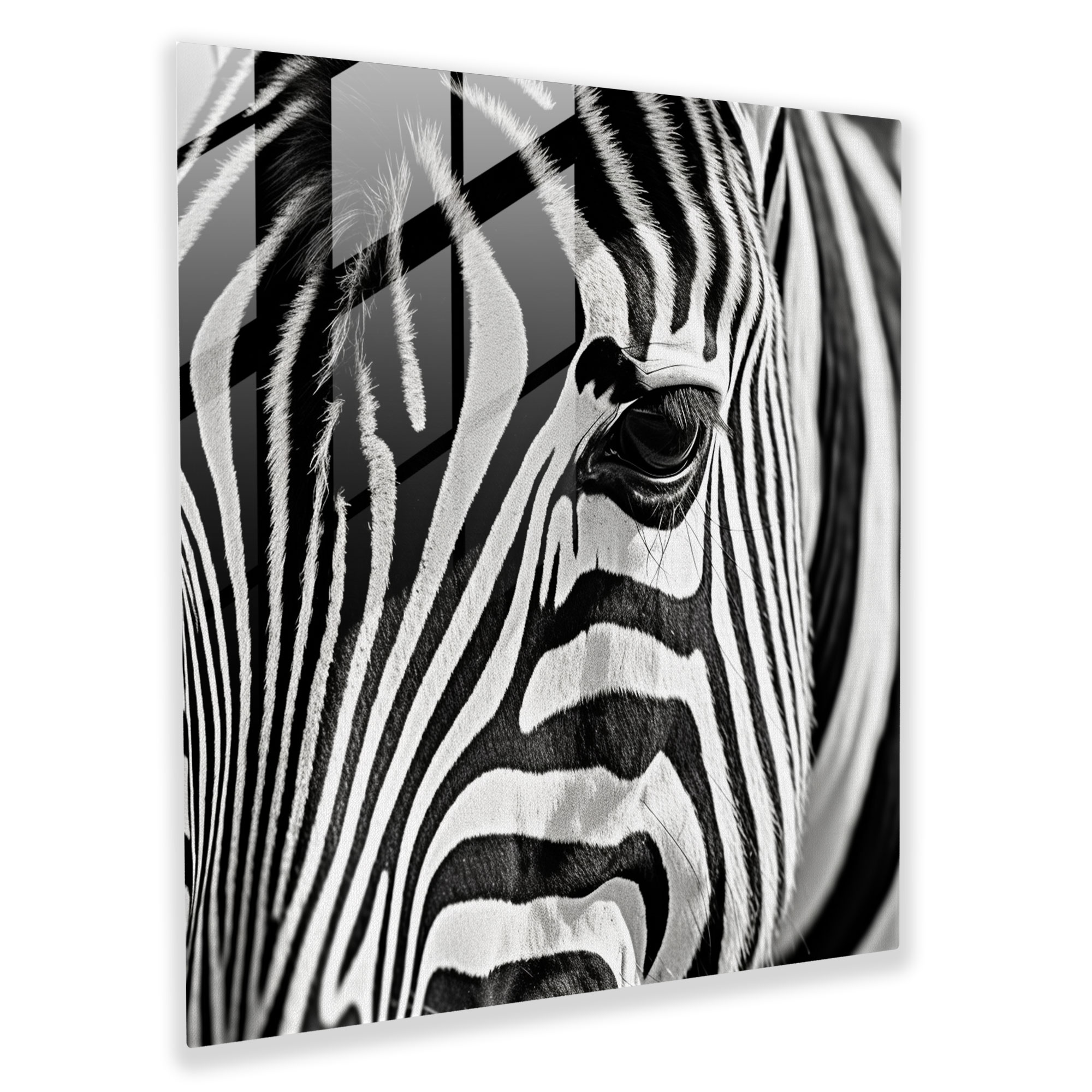Elegant Zebra Glass Print - Zebra, Modern Art, Elegant, Glass Print