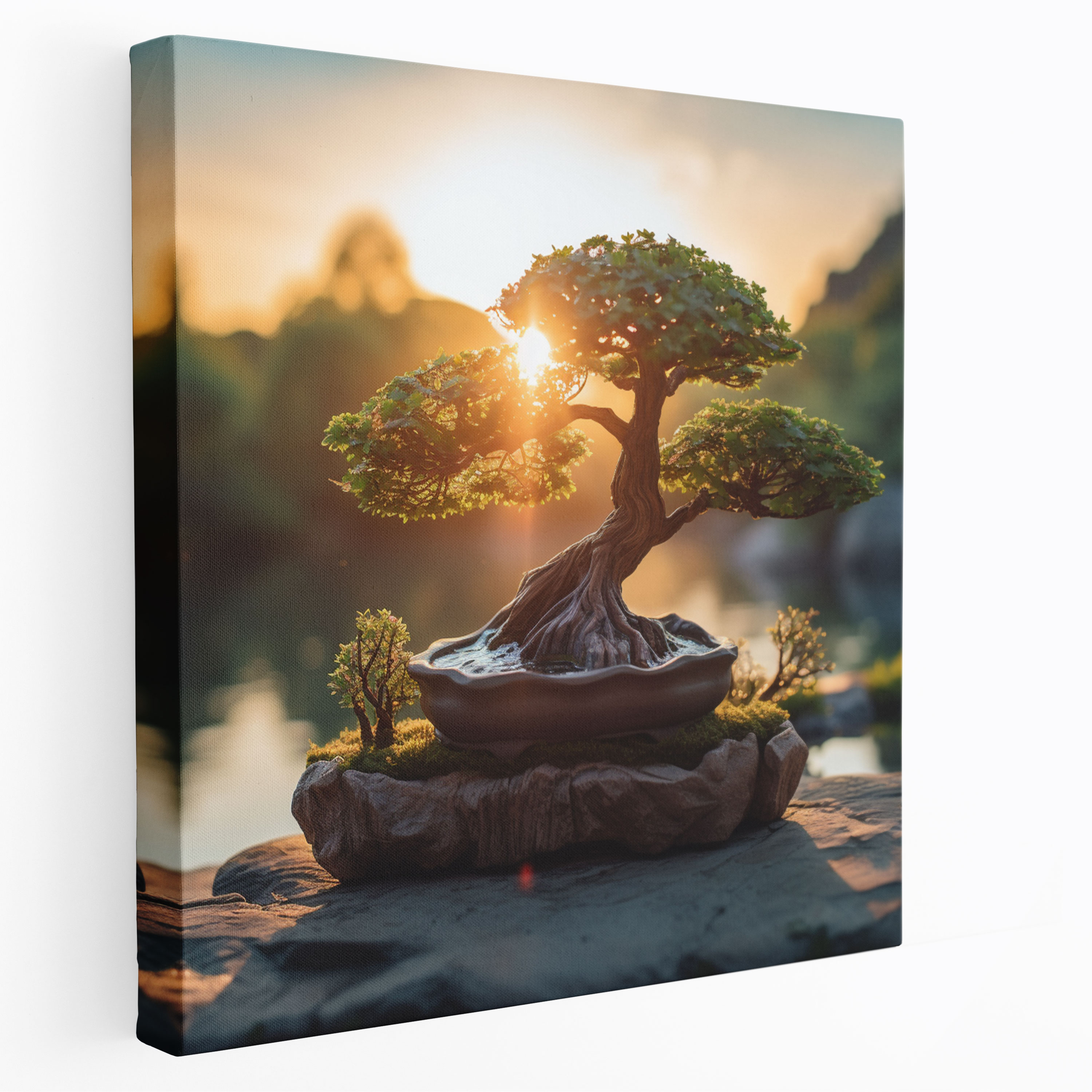 Zen Bonsai Canvas Print - Zen, Canvas, Nature Beauty, Home Decoration
